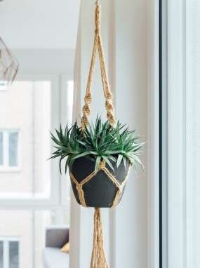 Hanging Planter